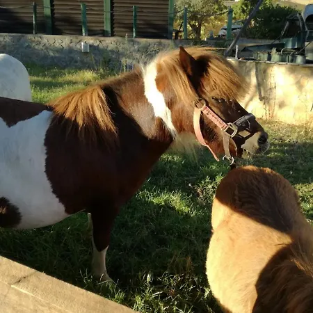 Сasa de vacaciones Quinta - Limao *
