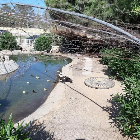 Quinta - Limao Almancil