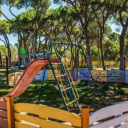 Quinta - Limao * Almancil