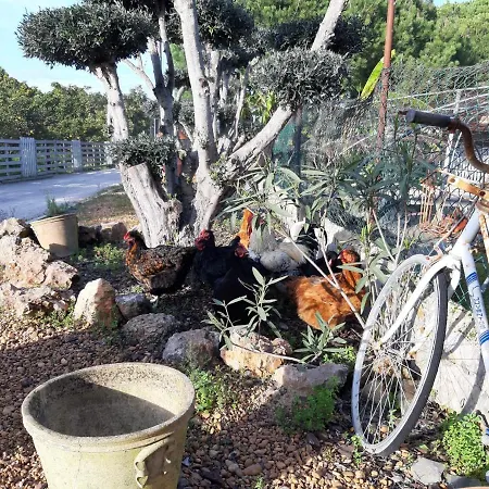 Hébergement de vacances Quinta - Limao