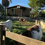 Casa de Férias Quinta - Limao