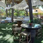 Quinta - Limao * Almancil