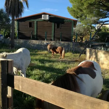 Nyaraló Quinta - Limao