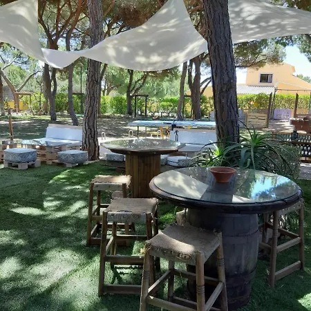 Quinta - Limao * Almancil