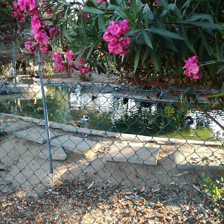 Nyaraló Quinta - Limao *