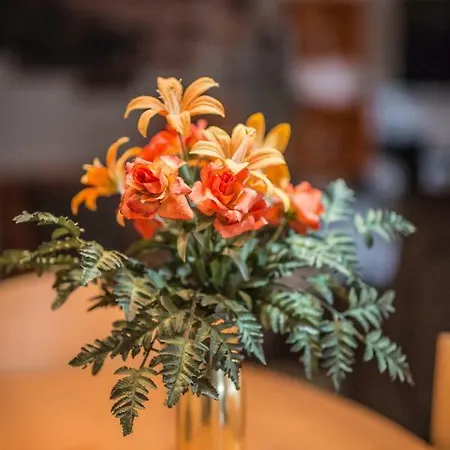 Nyaraló Quinta - Limao *