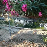 別荘 Quinta - Limao *